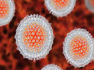 Вирус гепатита С передается через ректальную и назальную жидкости