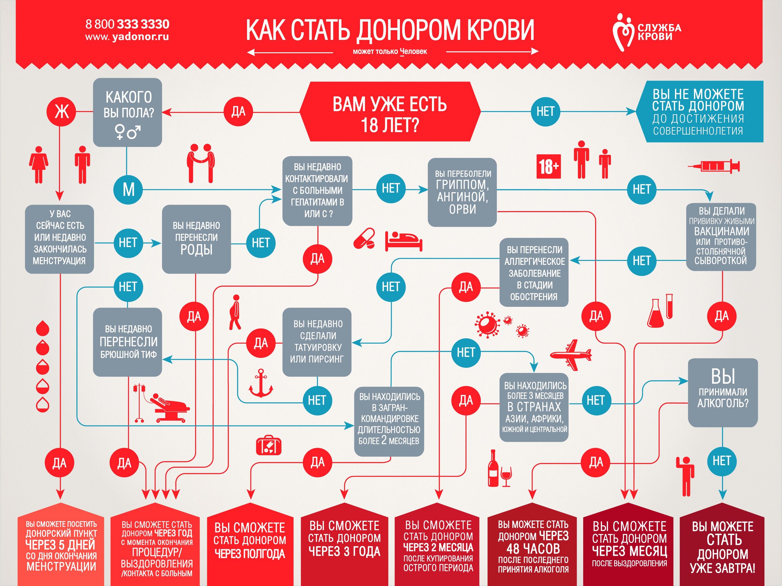 Могут ли стать. Правила сдачи крови. Как стать донором крови. Как сдать донопром крови. Всемирный день донора крови.