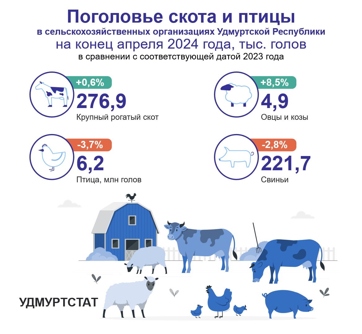 На изображении видно, что поголовье крупного рогатого скота на конец апреля 2024 года в хозяйствах Удмуртии незначительно выросло, чуть менее 1% по сравнению с аналогичным периодом прошлого года. На 8,5 % выросло поголовье овец и коз. Сократилось поголовье свиней на 2,8% и птиц на 3,7%.