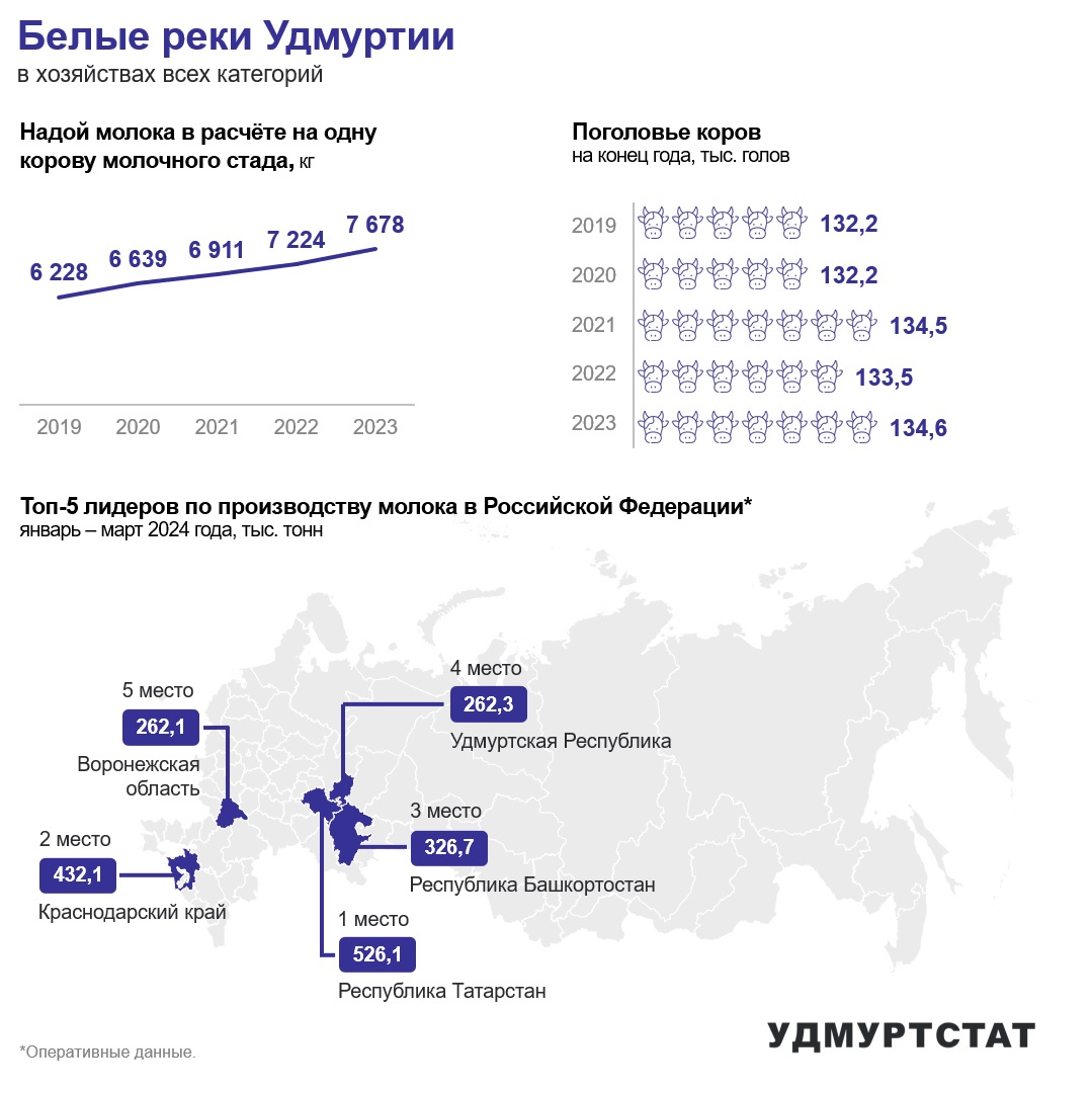 По производству молока Удмуртия занимает 4 место в России по итогам работы за январь-март 2024 года. Поголовье коров в хозяйствах Удмуртии за 5 лет выросло на 1,8%. Зато надои с одной коровы возросли на 23% и в 2023 году составили 7678 кг на одну корову молочного стада, что в пересчете на суточный удой составляет 21 кг от одной коровы.