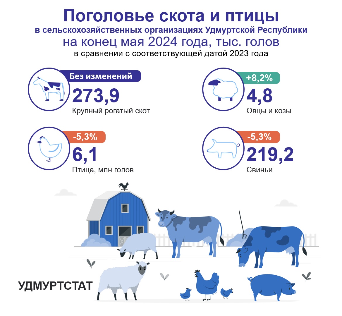 Поголовье крупного рогатого скота в сельхозпредприятиях Удмуртии на конец мая 2024 не изменилось по сравнению с маем 2023 года и составило 273,9 тыс.голов. Поголовье овец и коз выросло на 8,2 % и составило 4,8 тыс.голов. Поголовье свиней и птицы сократилось на 5,3% по сравнению с показателями 2023 года.