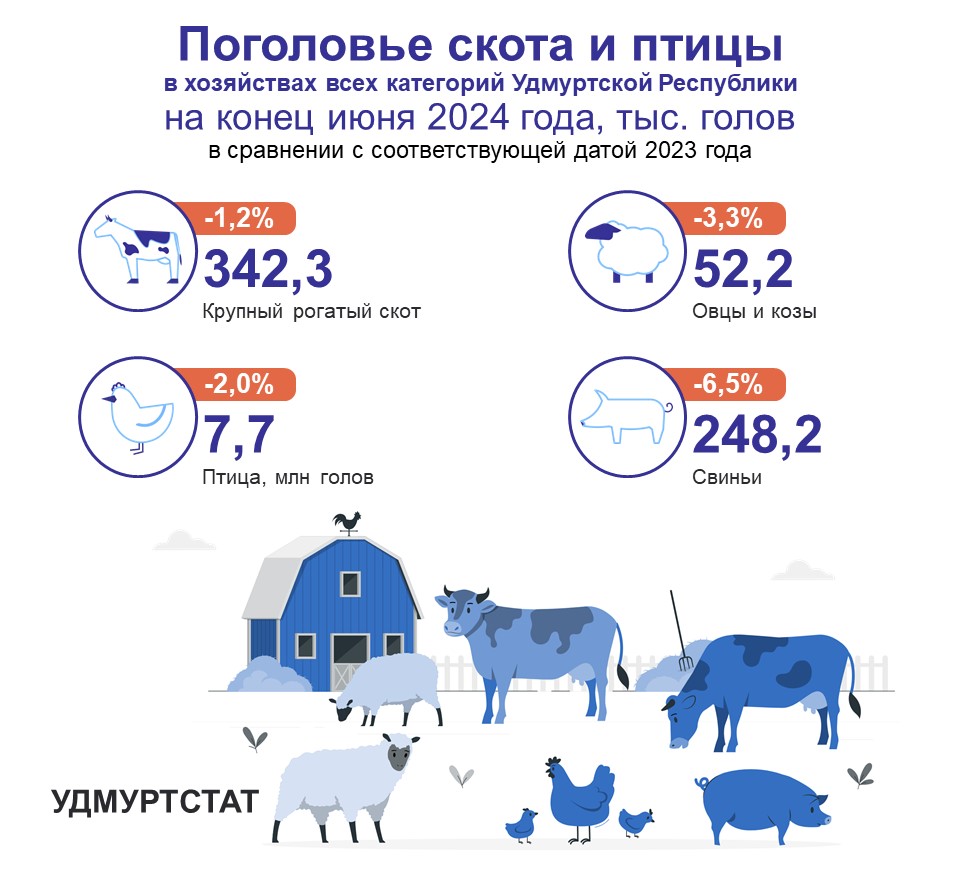 По данным Удмуртстата в сельскохозяйственных предприятиях Удмуртии на конец июня 2024 года наблюдается снижение поголовья скота и птицы по сравнению с соответствующей датой 2023 года. Больше всего сокращение поголовья коснулось свиней - на 6,5 %. Меньше всего сократилось поголовье крупного рогатого скота: на 1,2 %