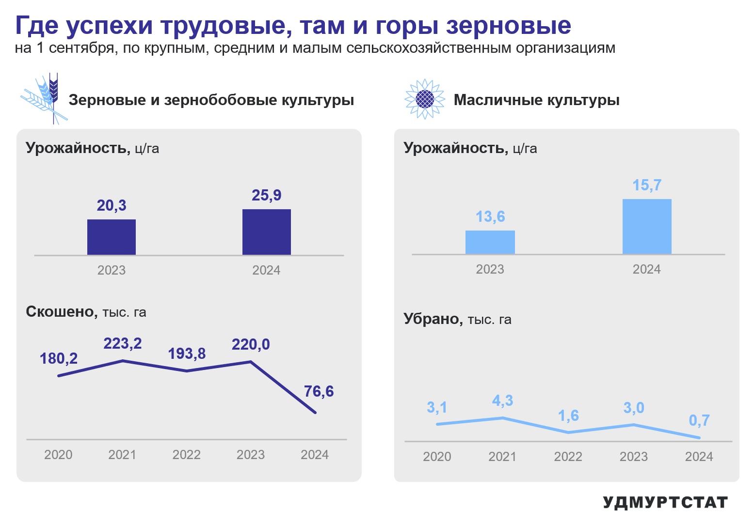 По данным Удмуртстата по состоянию на 1 сентября 2024 года урожайность зерновых культур сельскохозяйственных предприятий Удмутрии составила 25,9 ц/га. Скошено зерновых и зернобобовых культур 76,6 тыс.га. Урожайность масличных культур составила 15,7 ц/га, убрано 0,7 тыс.га.