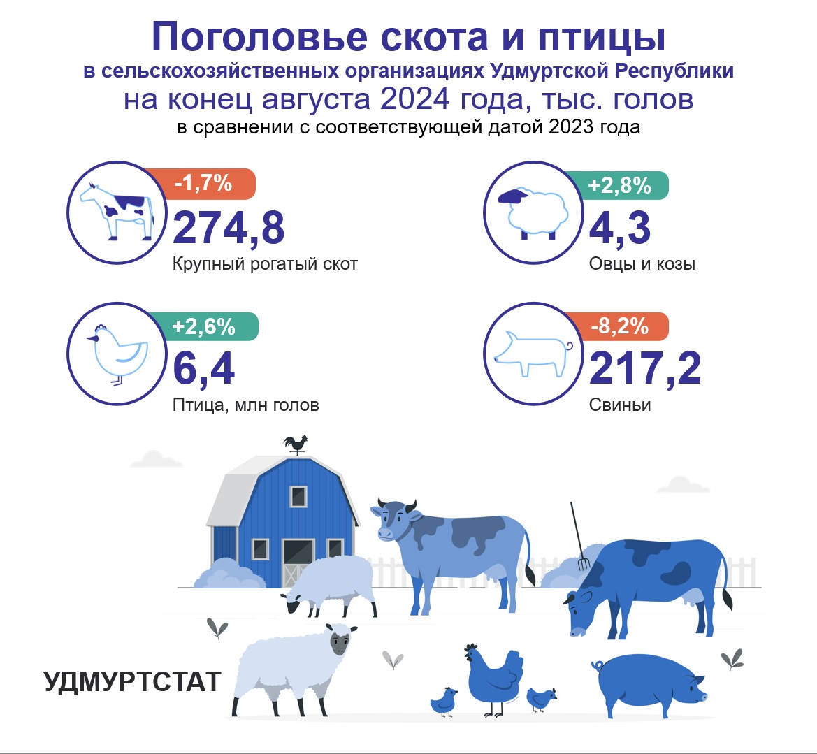 По данным Удмуртстата на конец августа 2024 года поголовье крупного рогатого скота в сельскохозяйственных организациях Удмуртии составило 274,8 тыс.голов, произошло сокращение на 1,7% по сравнению с аналогичным периодом 2023 года. Поголовье овец и коз составило 4,3 тыс.голов, это дольше на 2,8% по сравнению с прошлым годом. Поголовье снивей снизилось на 8,2% и составило 217,2 тыс.голов. Поголовье птиц выросло на 2,6% и составило 6,4 млн.голов.