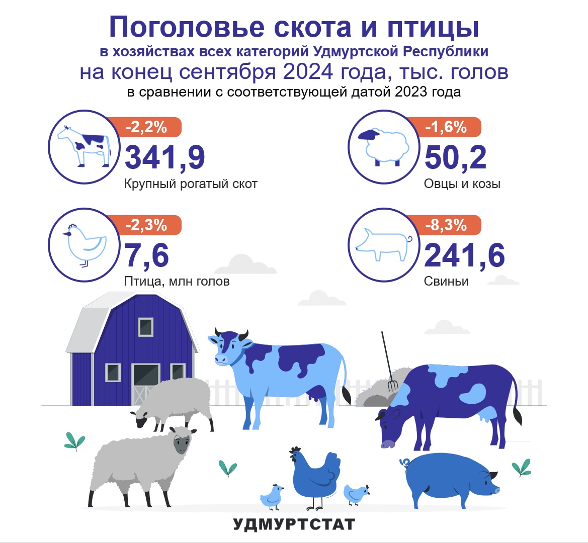 По данным Удмуртстата по состоянию на 01.10.2024 года в хозяйствах Удмуртии насчитывается 341,9 тыс.голов крупного рогатого скота, 50,2 тыс.голов овец и коз, 241,6 тыс.голов свиней и 7,6 млн.голов птиц. По всем видам животноводства наблюдается сокращение поголовья по сравнению с аналогичным периодом прошлого года.