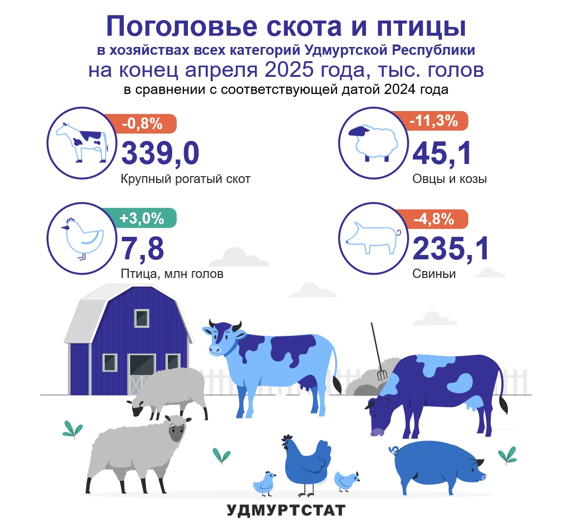 На конец апреля 2025 года в хозяйствах Удмуртии зарегистрировано 339 тыс.голов крупного рогатого скота, что на 0,8% меньше, чем в прошлом году; 45,1 тысяч голов овец и коз, что на 11,3% меньше прошлого года, 235,1 тыс.голов свиней. что на 4,8% меньше прошлого года. Зато птицы зарегистировано 7,8 млн.голов, это на 3% больше, чем в прошлом году.